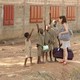 photo du film Le secret de l'enfant fourmi