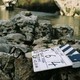 photo du film La grotte des rêves perdus