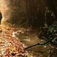 photo du film Le sens de l'âge