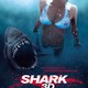 photo du film Shark 3D