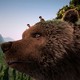 photo du film L'Ours Montagne