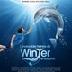 photo du film L'incroyable histoire de Winter le dauphin