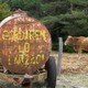 photo du film Tous au Larzac
