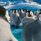 photo du film Happy Feet 2