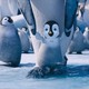 photo du film Happy Feet 2