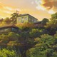 photo du film La Colline aux coquelicots