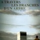photo du film A travers les branches d'un arbre
