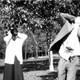 photo du film A travers les branches d'un arbre