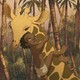 photo du film Zarafa
