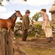 photo du film Cheval de guerre