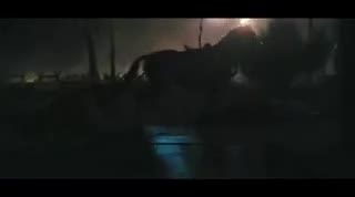 Un extrait du film  Cheval de guerre