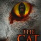 photo du film The Cat
