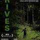 photo du film Rives