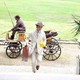 photo du film Bel Ami