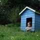 photo du film A pas de loup