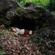 photo du film A pas de loup