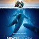 photo du film Miracle en alaska