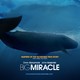 photo du film Miracle en alaska