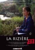 voir la fiche complète du film : La rizière