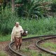 photo du film Historias