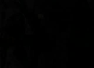 Un extrait du film  Dracula III : legacy