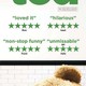 photo du film Ted
