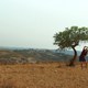 photo du film Pays rêvé