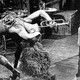 photo du film Gypsy Vénus de Broadway