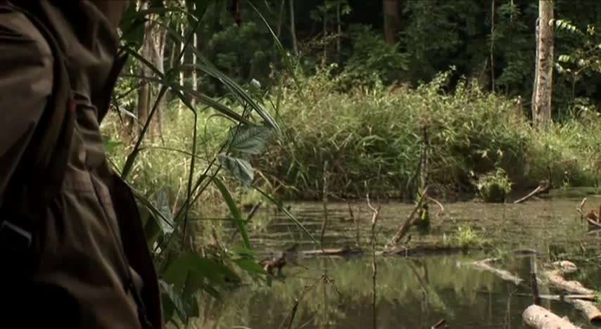 Un extrait du film  L hypothèse du Mokélé-M Bembé