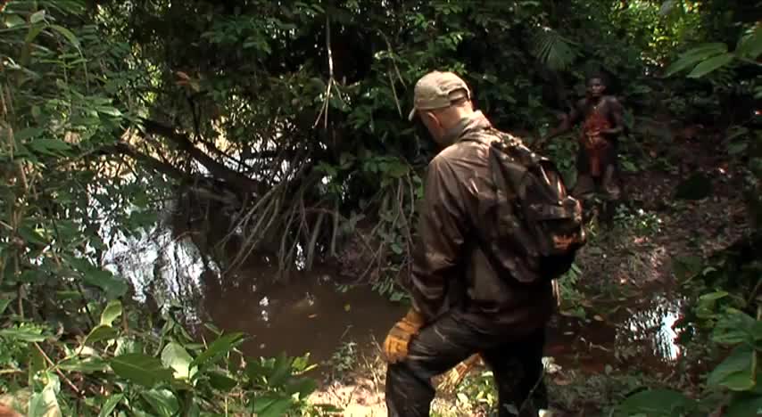Un extrait du film  L hypothèse du Mokélé-M Bembé