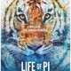 photo du film L'odyssée de Pi