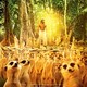 photo du film L'odyssée de Pi