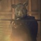photo du film You're Next