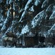 photo du film Hiver nomade