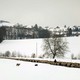 photo du film Hiver nomade