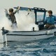 photo du film Vive la France