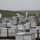 photo du film Des abeilles et des hommes