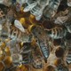 photo du film Des abeilles et des hommes