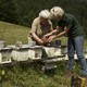 photo du film Des abeilles et des hommes