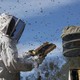 photo du film Des abeilles et des hommes