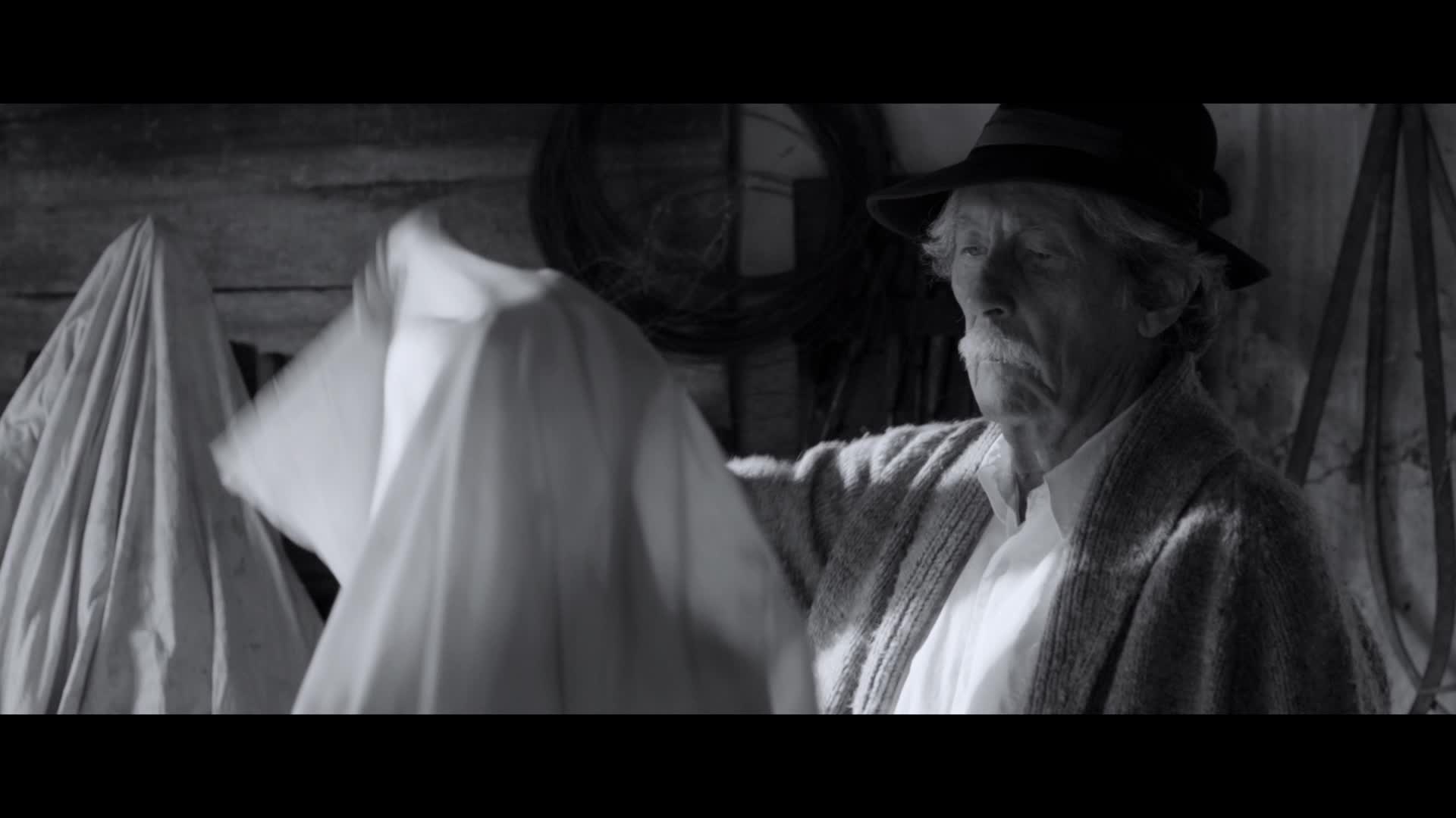 Extrait vidéo du film  L Artiste et son modèle