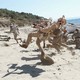 photo du film Canakkale Yolun Sonu