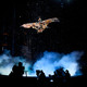photo du film Cirque du Soleil : Le voyage imaginaire