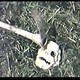 photo du film Mad Mutilator