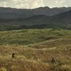 photo du film Los salvajes