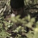 photo du film Los salvajes
