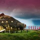 photo du film The Act of Killing