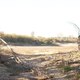 photo du film Mud - Sur les rives du Mississippi
