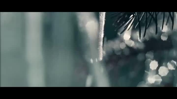 Extrait vidéo du film  The Grandmaster