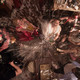 photo du film Gatsby le Magnifique